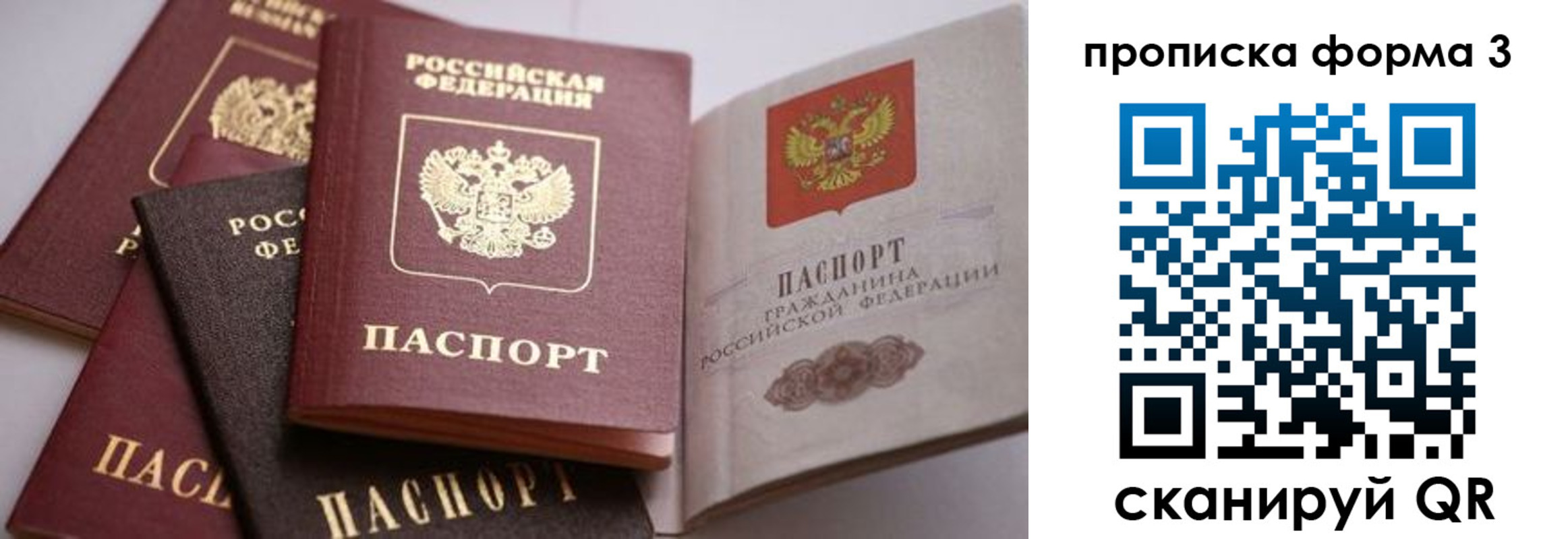 прописка для школы в Курганинске